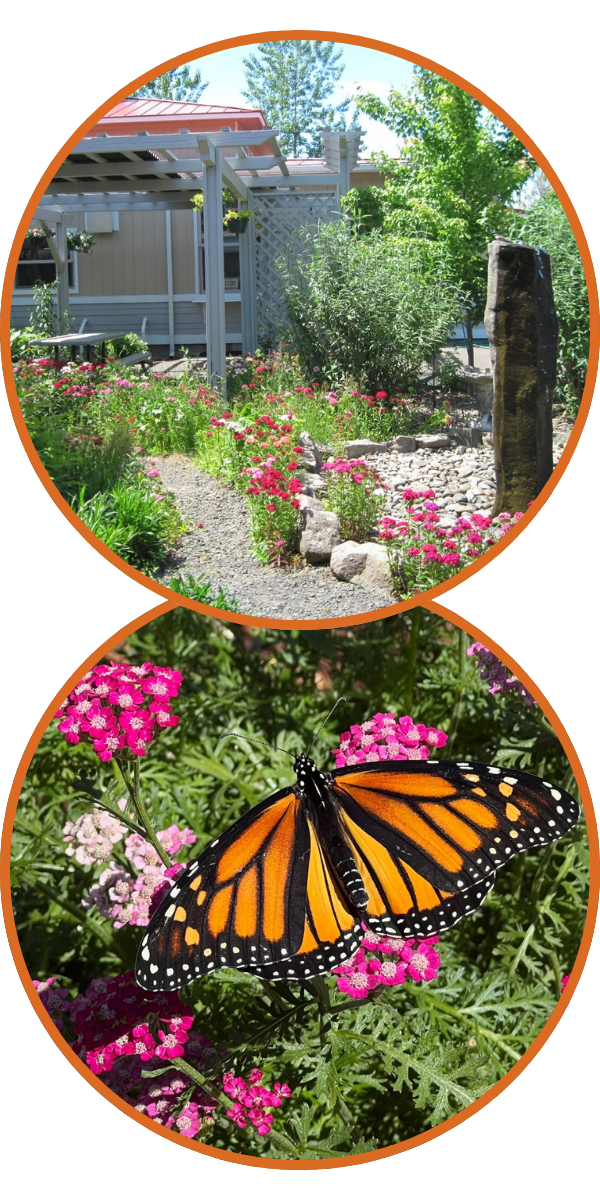 ECEC Walkway & Butterfly