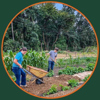 laying-mulch-in-the-market-garden