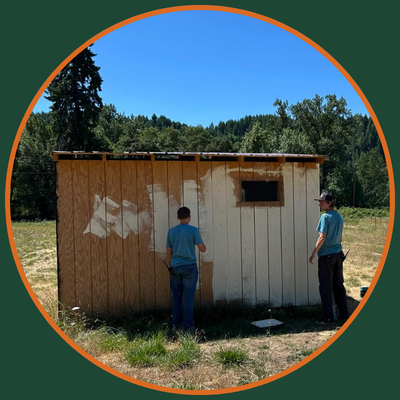 painting-the-livestock-shed